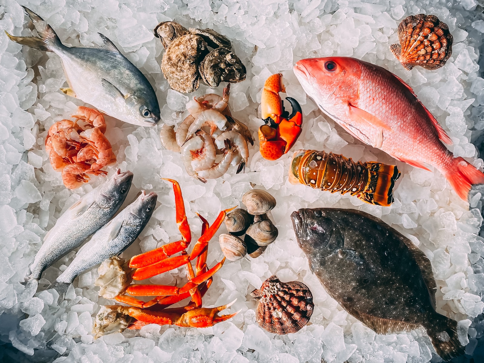 Seafood Slimming Recipes